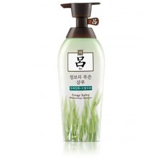 Шампунь для ухода за кожей головы и волосами Ryo Seaweed Forage Barley Moisturizing Shampoo 500мл
