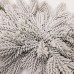 Новогодняя хвойная гирлянда литая заснеженная Северная звезда 60*35 см TD-NSTSN1
