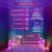 Гирлянда штора 2х2 м 240 LED светодиодная медный провод 8 нитей ZWM2240LEDML