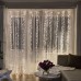 Новогодняя гирлянда Хвойная лапа 3х2 м 400 LED  Белый свет D400LED2MW