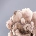 Коврик для сервировки стола Sakura 38 см золото HP-36327-11GOLD