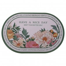 Диатомитовый овальный коврик для дома Have A Nice Day 38×58 (см) влаговпитывающий коврик для кухни ванны и туалета HP-42-59