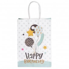 Набор подарочных пакетов из бумаги 12 (шт) Happy Birthday картонные красивые пакеты для подарков 15×8×21 (см) Мятный HP-10359-23M