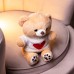 Мягкая игрушка-брелок Мишка в свитере с сердцем  20 см плюшевый мишка 509-28BEW