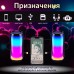 Портативна колонка 8 Вт с подсветкой и USB PULSE5B