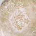 Столовый сервиз фарфоровый Baroque 32 предмета на 6 персон Yiwu YS02-011