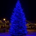 Гирлянда Рождественская фея уличная 50 (м) 500 LED черный провод Синий CF500L50MBBL