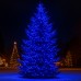 Гирлянда Рождественская фея уличная 50 м 500 LED белый провод Синий CF500L50MWBL